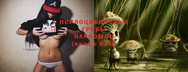 Галлюциногенные грибы Psilocybine cubensis  omg   Холмск 